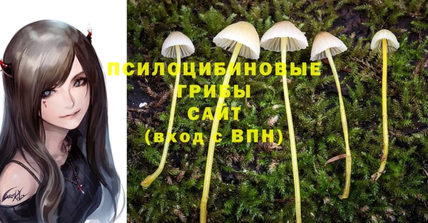 соль курить ск Лагань