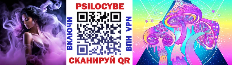 Галлюциногенные грибы GOLDEN TEACHER  купить наркотики цена  Димитровград 