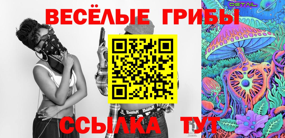 Галлюциногенные грибы Psilocybe Димитровград