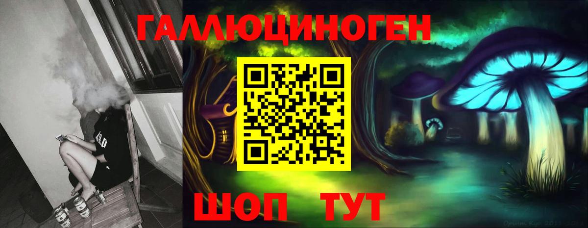 Псилоцибиновые грибы GOLDEN TEACHER  Вход с VPN  Димитровград 
