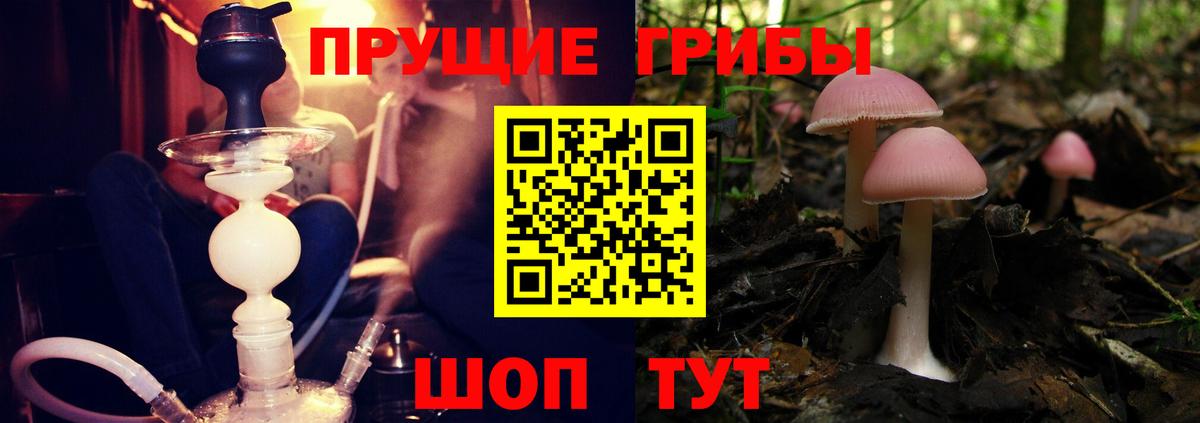 Галлюциногенные грибы мицелий  Димитровград 